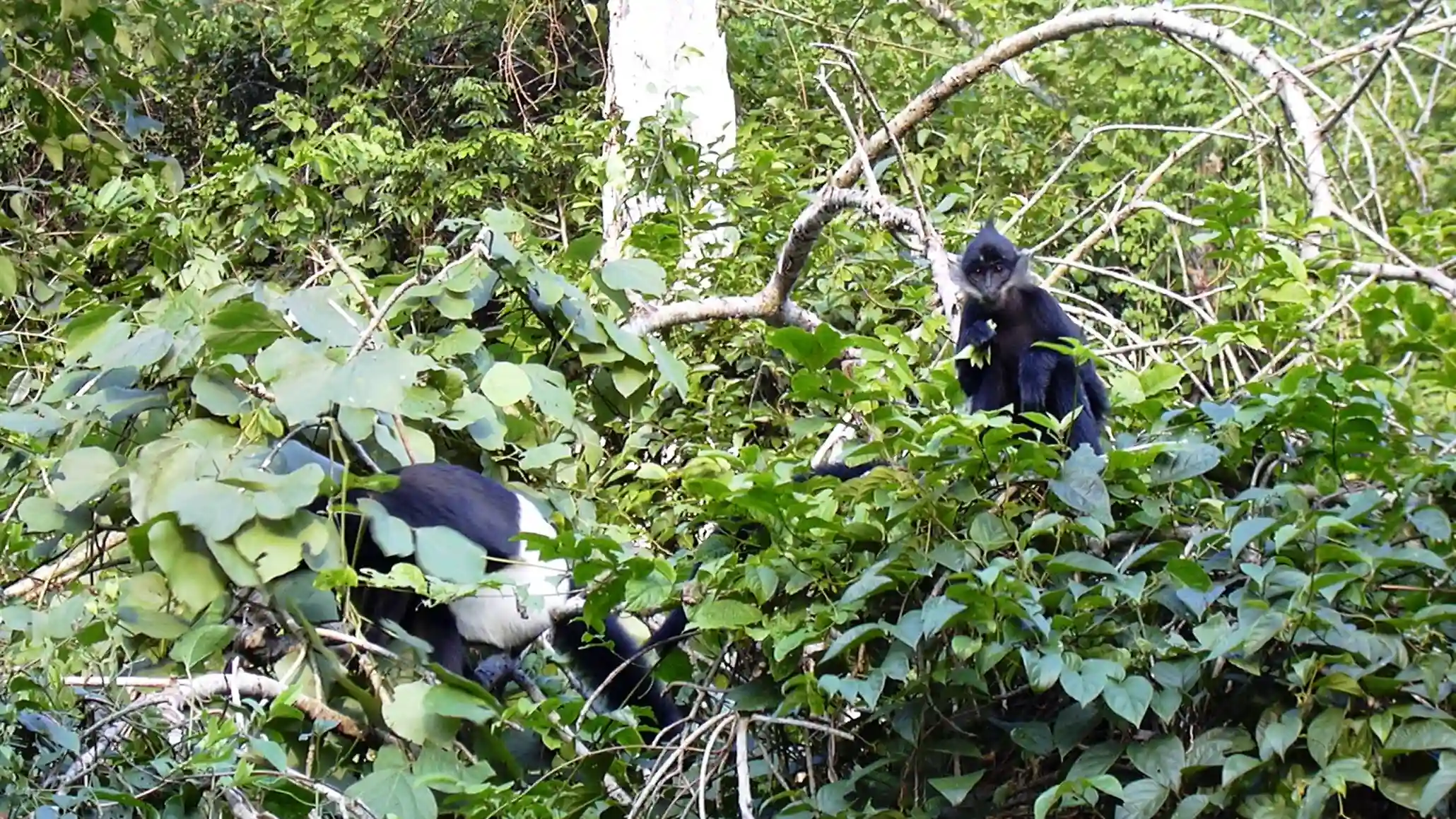 Blog: Cat Ba island - Women’s Island