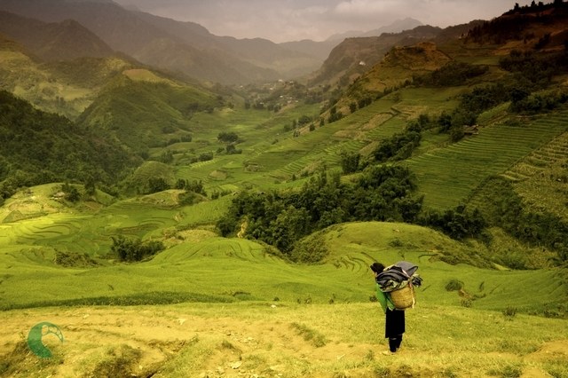 Summer travel has its own advantages Sapa Summer travel has its own advantages