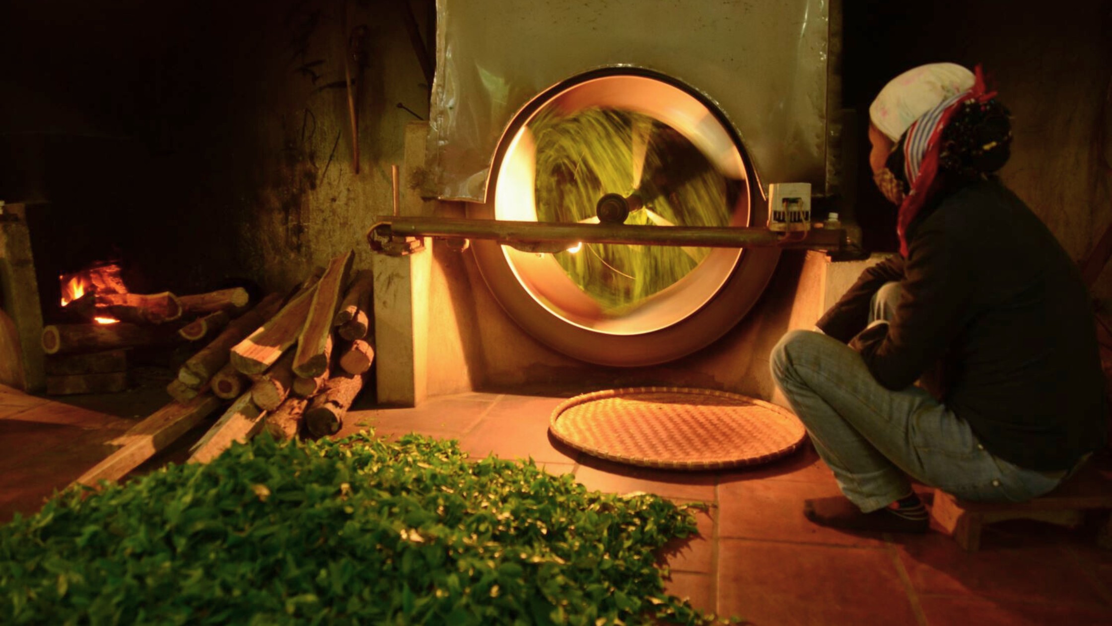 8 Things to do in Thai Nguyen Tea Plantation-3