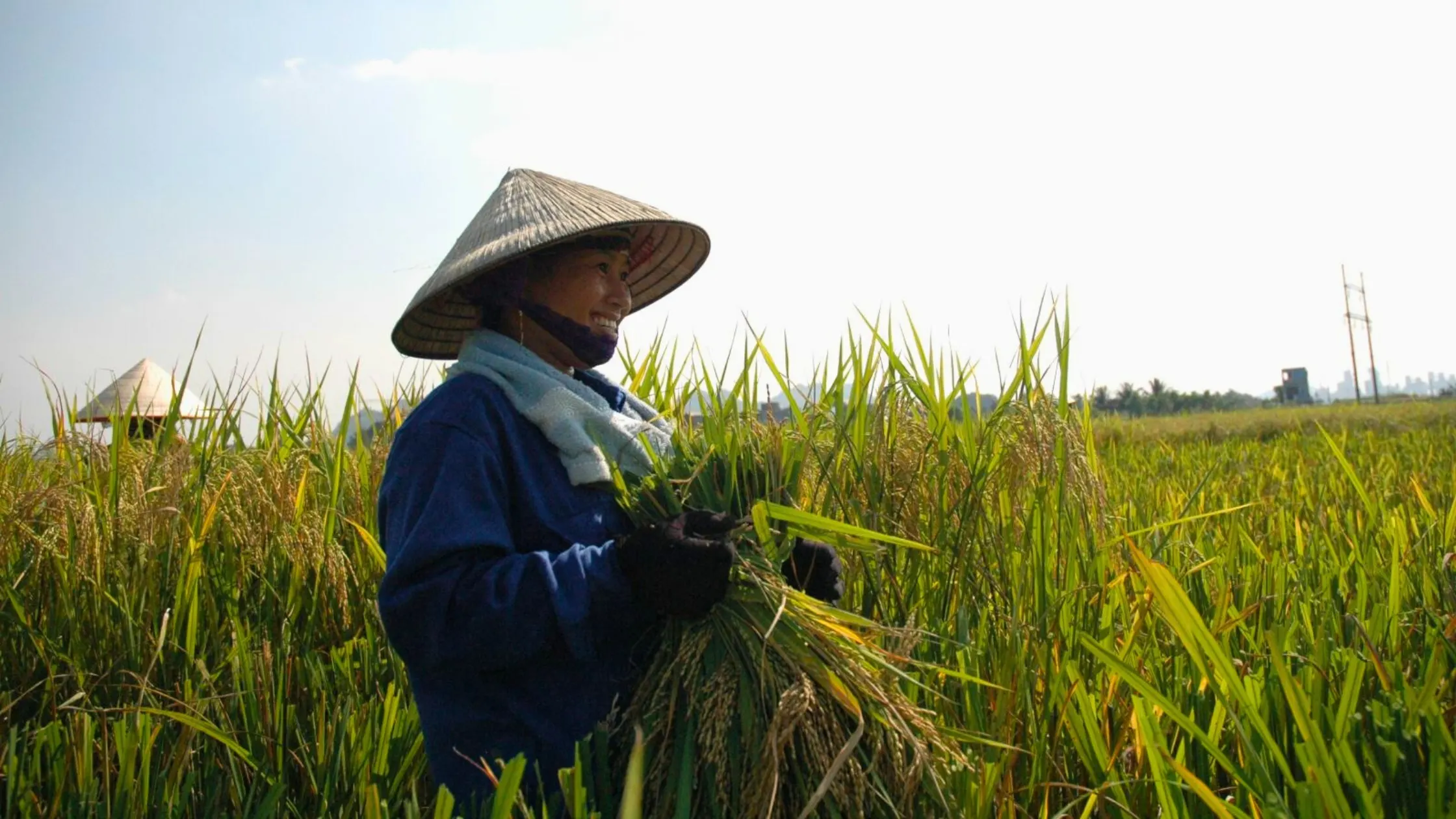 Blog: Agricultural Tour In Vietnam – More Than Just Rural Tourism